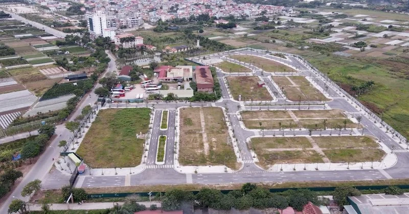 Chậm nộp tiền sử dụng đất có bị hủy kết quả đấu giá